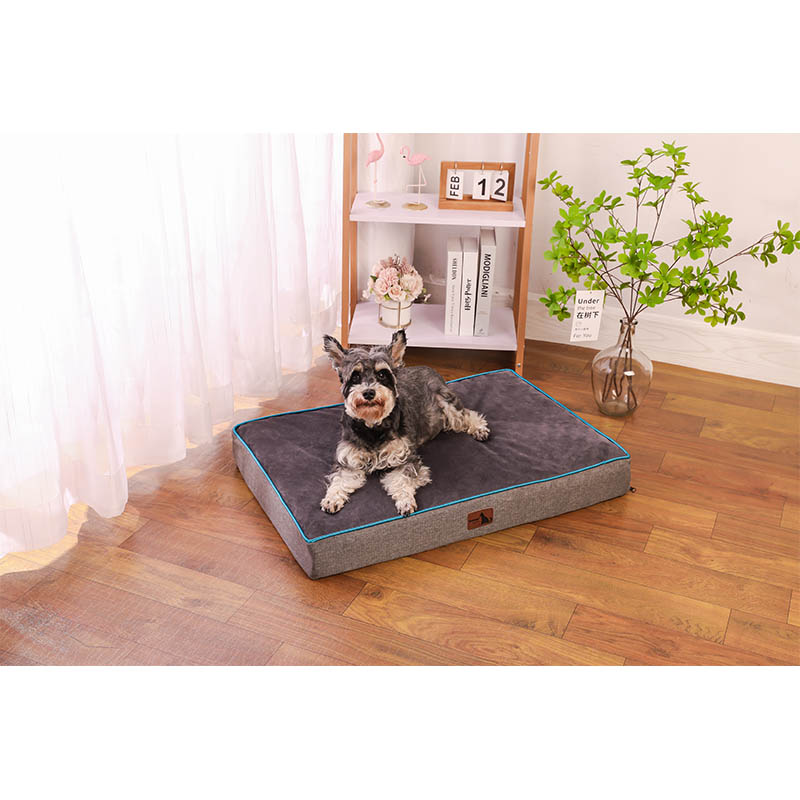 How does a solid color removable thick pet mat protect your dog's joints?